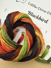 Blackbird