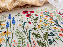 Wildflower Meadow